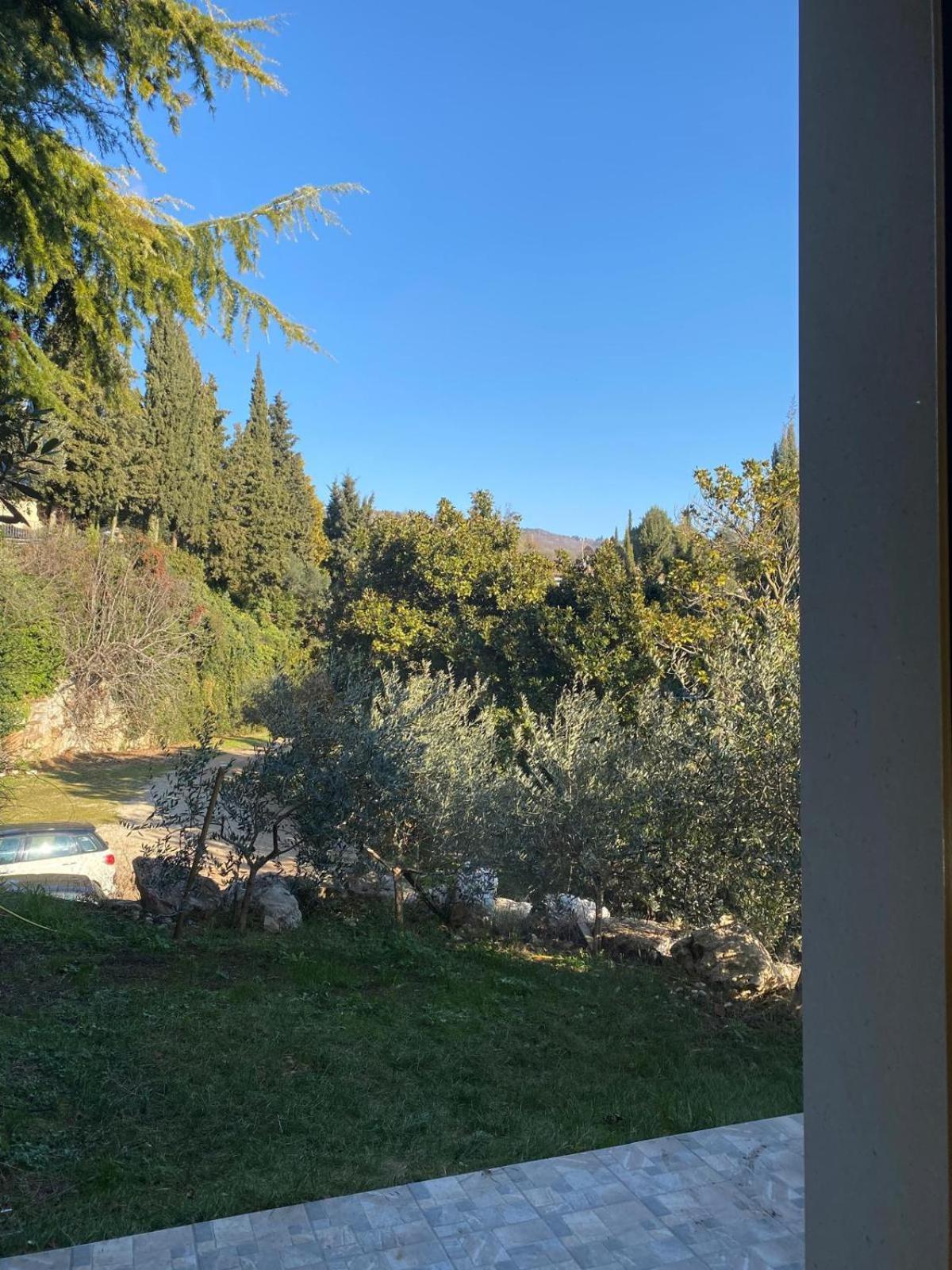 Agriturismo I Merli SantʼAmbrogio di Valpolicella Eksteriør bilde